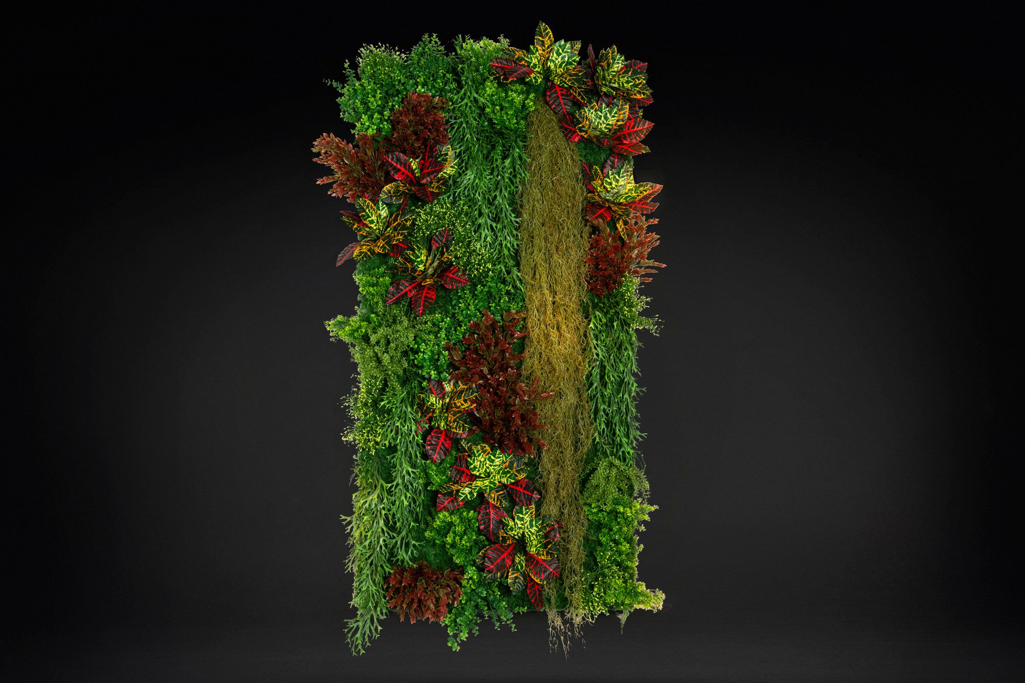 CADDO by VGnewtrend - Quadro vegetale - 2