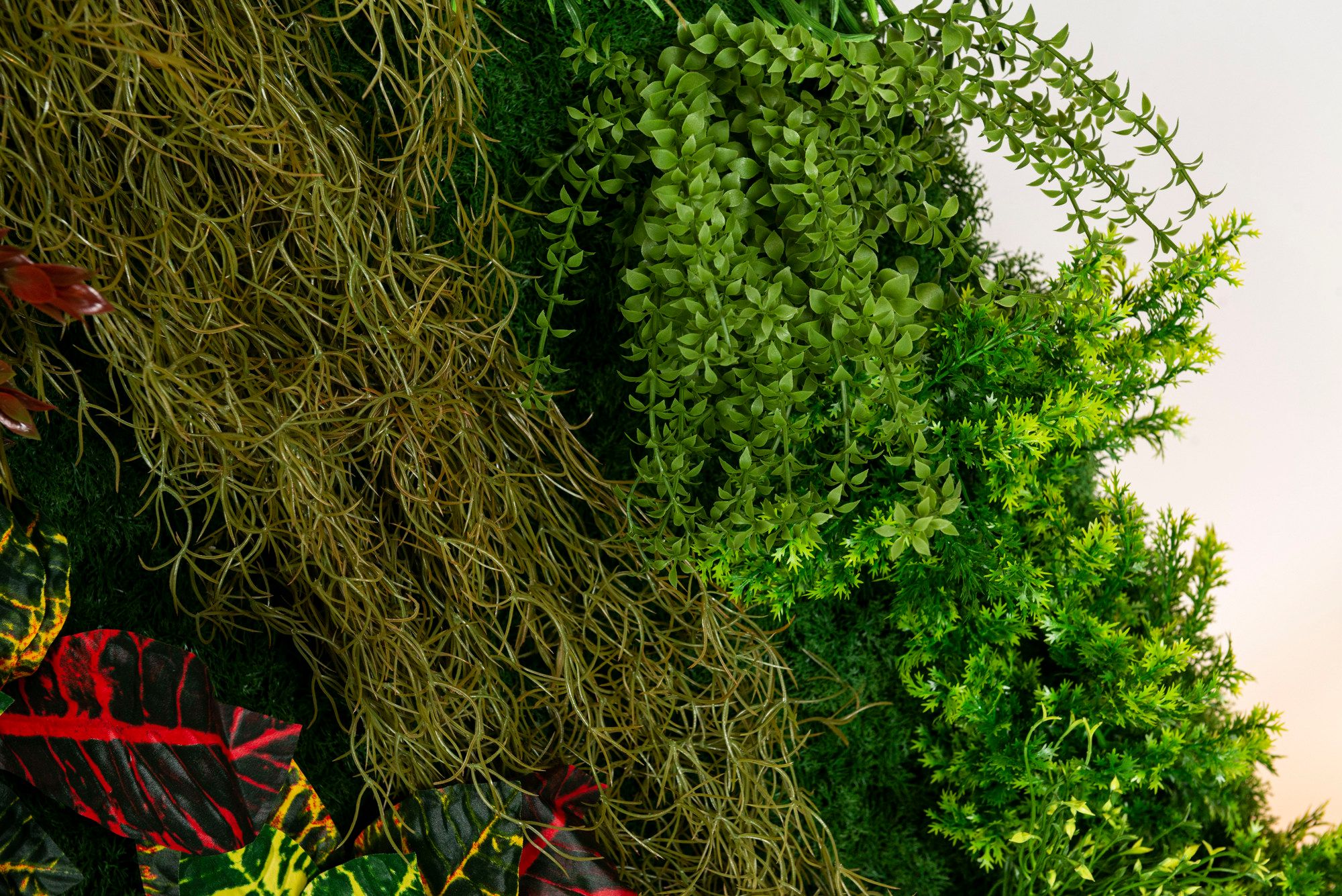 CADDO by VGnewtrend - Quadro vegetale - 3