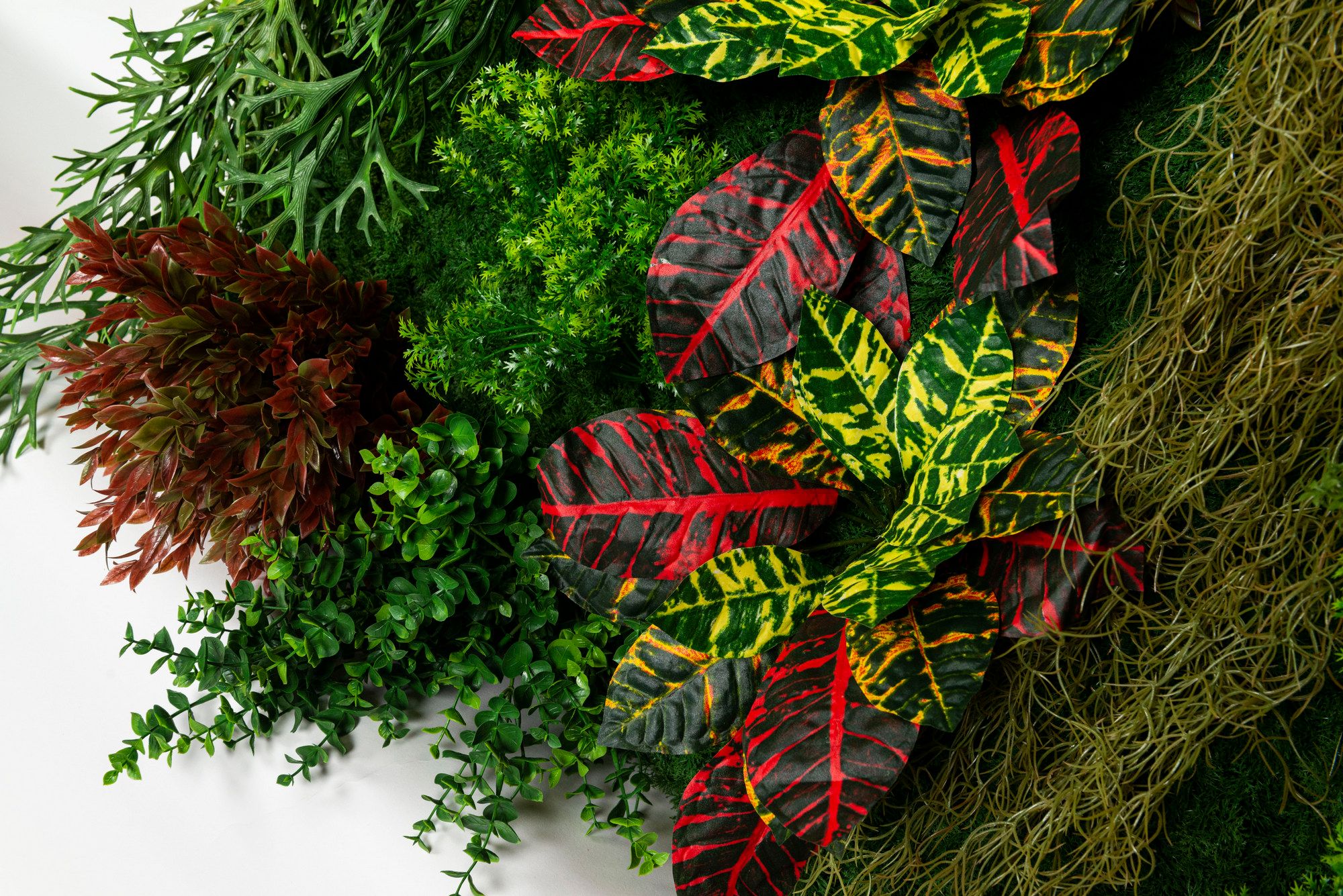 CADDO by VGnewtrend - Quadro vegetale - 5