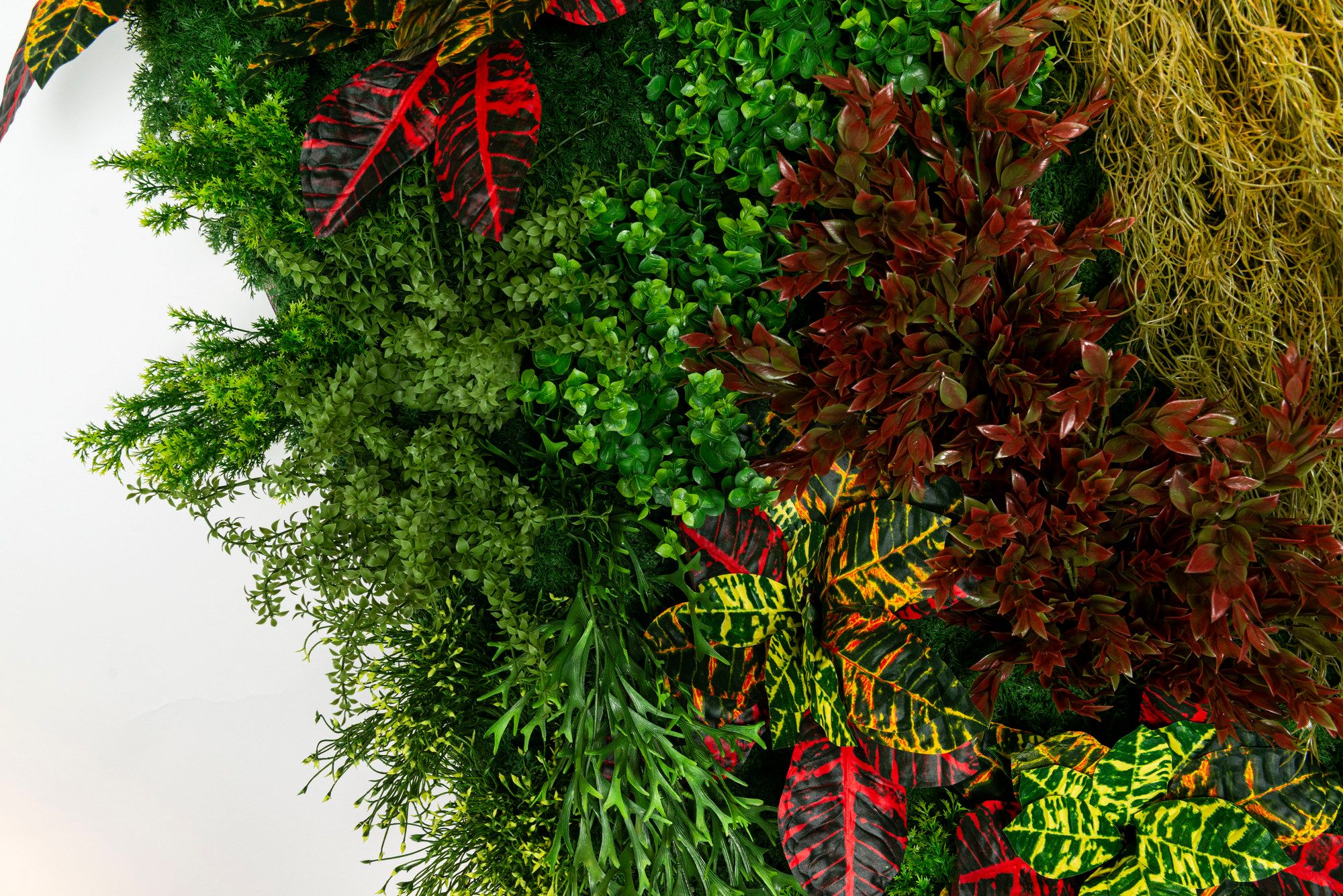 CADDO by VGnewtrend - Quadro vegetale - 7