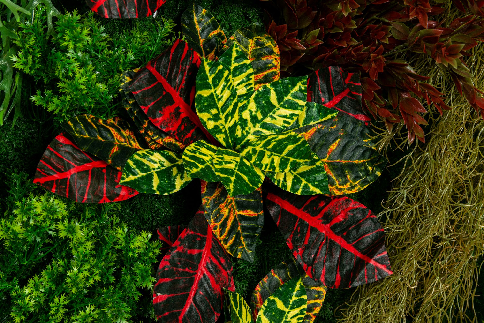 CADDO by VGnewtrend - Quadro vegetale - 12