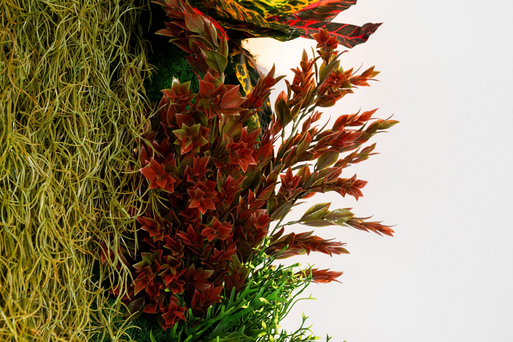 CADDO by VGnewtrend - Quadro vegetale - 9