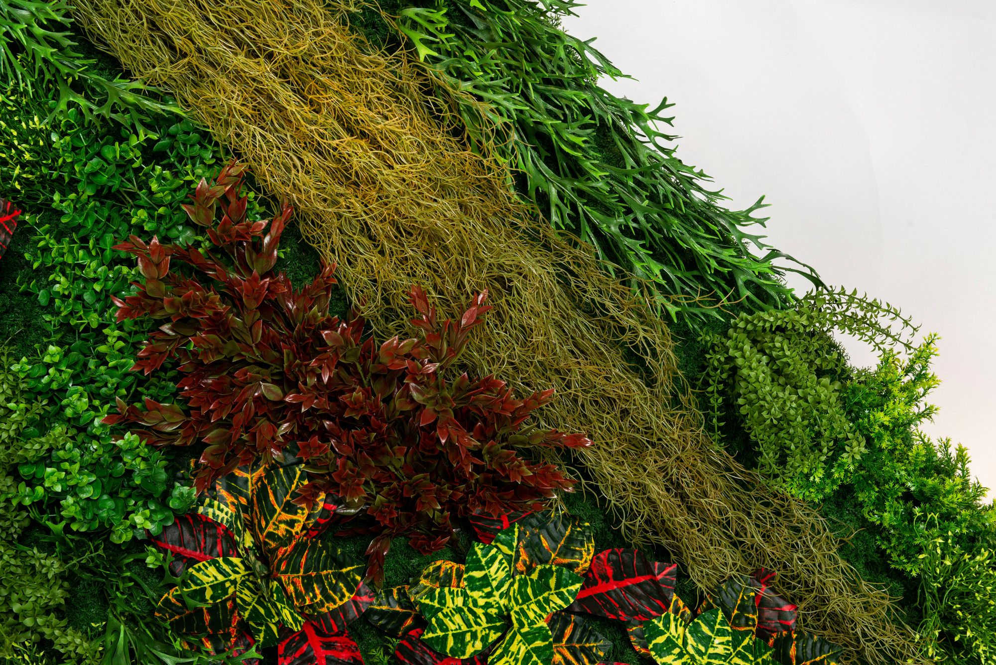 CADDO by VGnewtrend - Quadro vegetale - 11