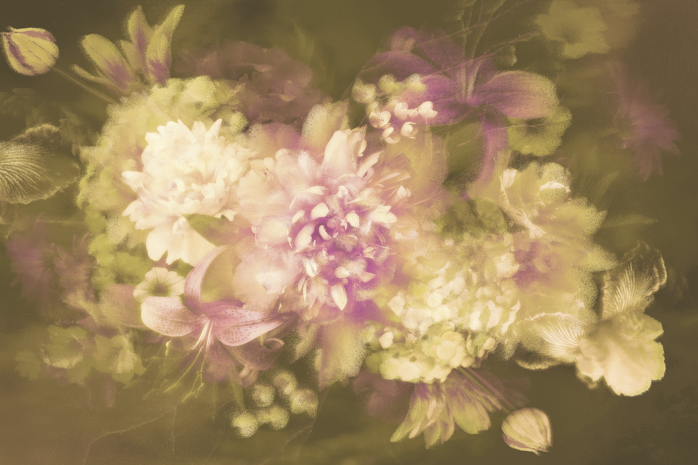 FLEUR DE JARDIN WPN 2102 壁纸 By Spaghetti Wall