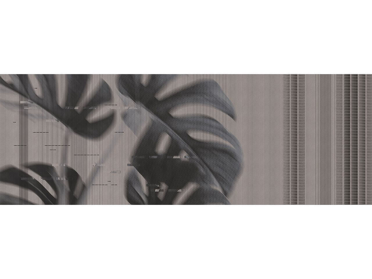 JARDIN D’HIVER MONSTERE by Texturae - Carta da parati lavabile panoramica - 3