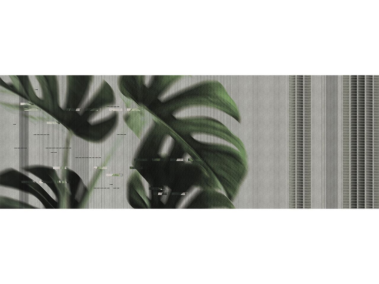 JARDIN D’HIVER MONSTERE by Texturae - Carta da parati lavabile panoramica - 5