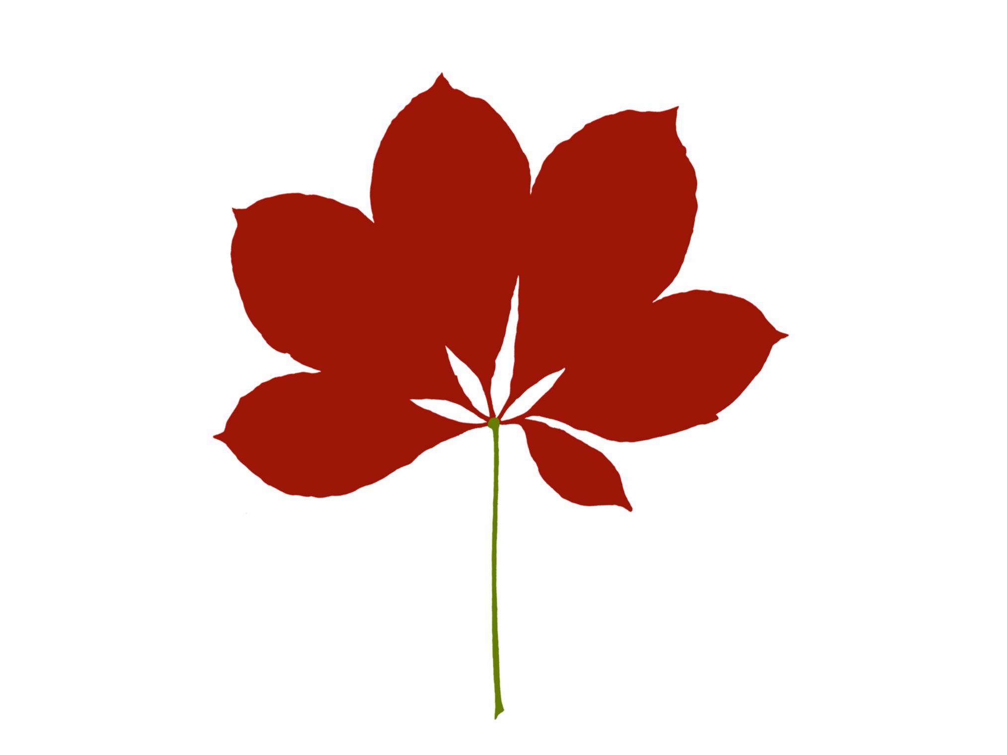 LEAVES CHESTNUT by Magis - Serigrafia