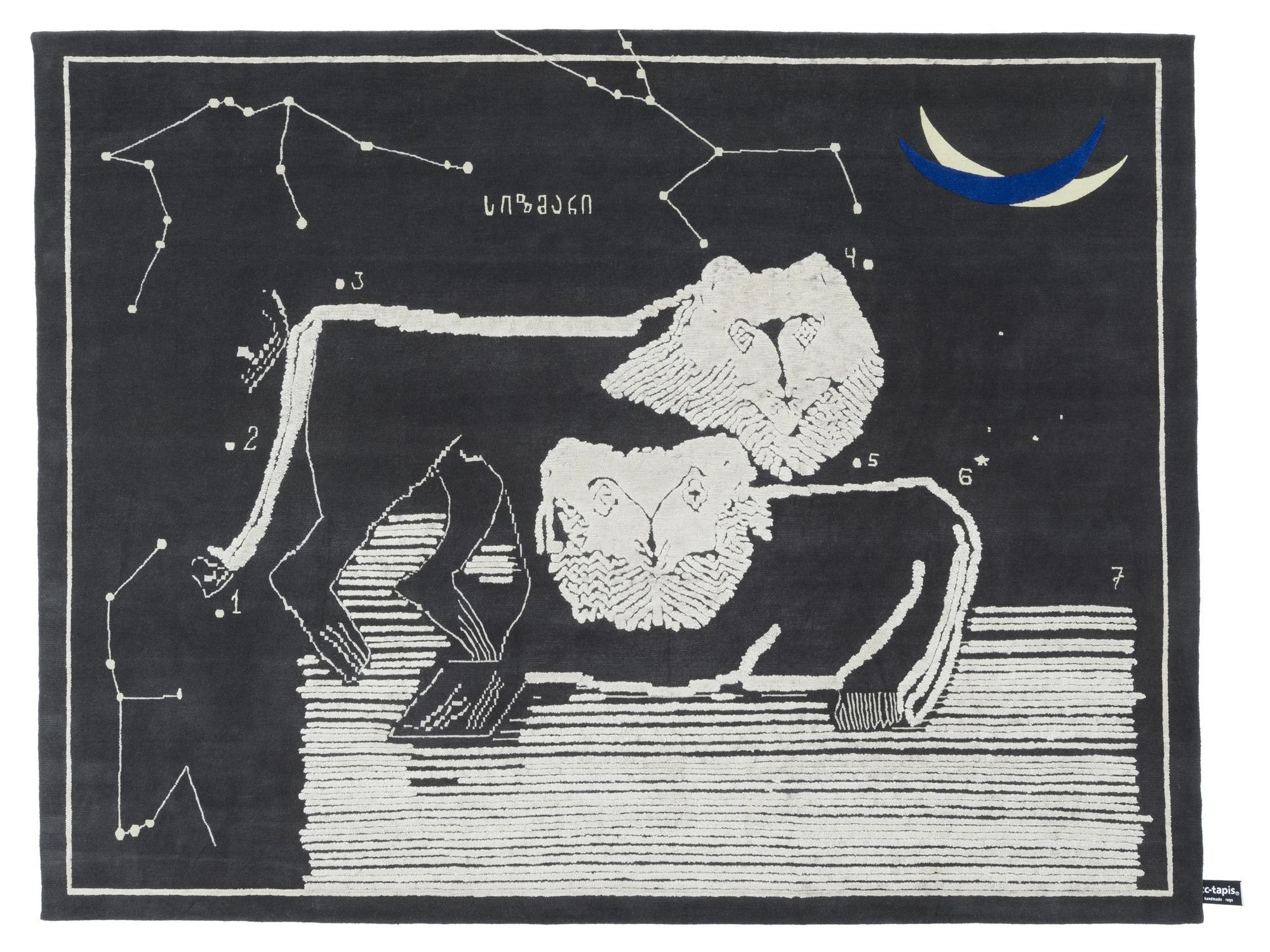 LIONS AT NIGHT by cc-tapis - Tappeto rettangolare fatto a mano