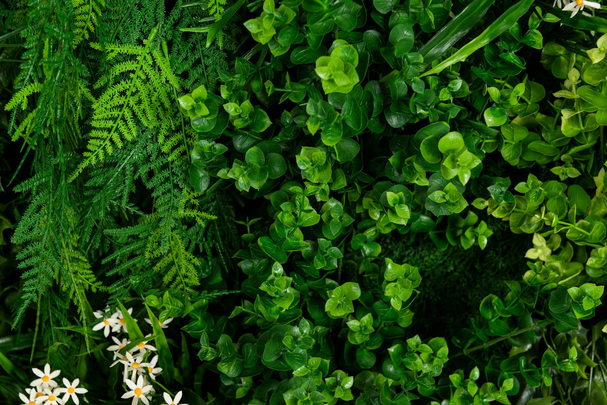 MELEDA by VGnewtrend - Quadro vegetale - 4