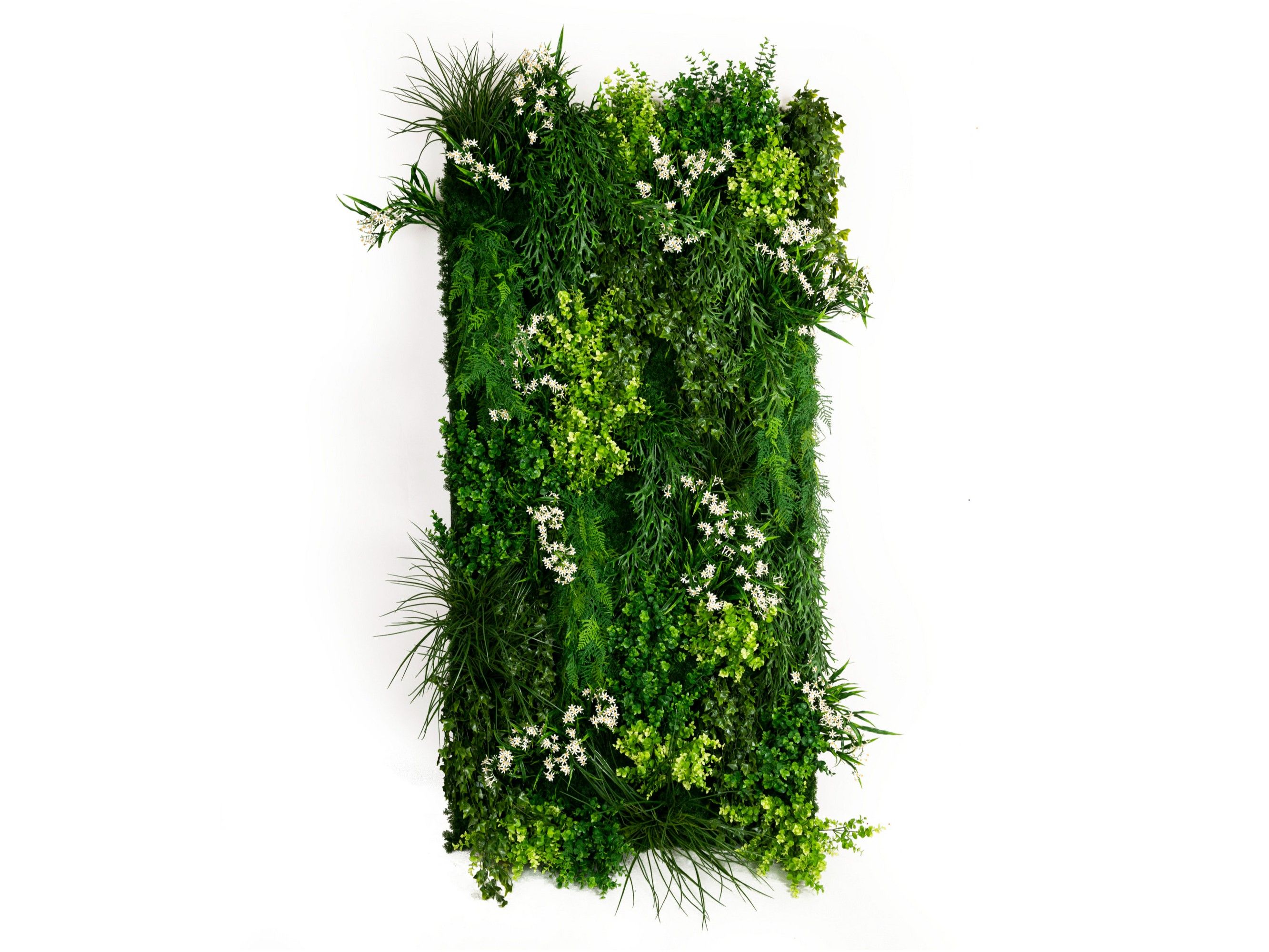 MELEDA by VGnewtrend - Quadro vegetale