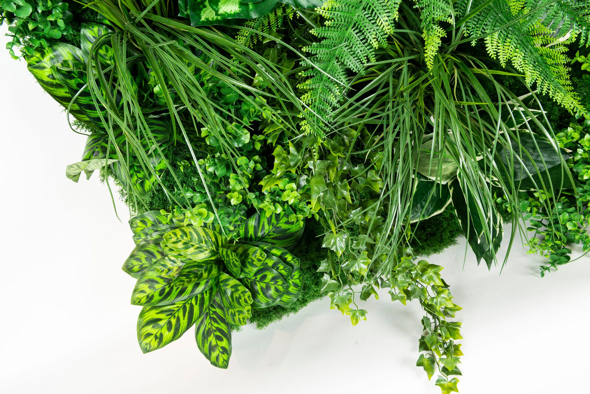 MOLOKAI by VGnewtrend - Quadro vegetale - 5