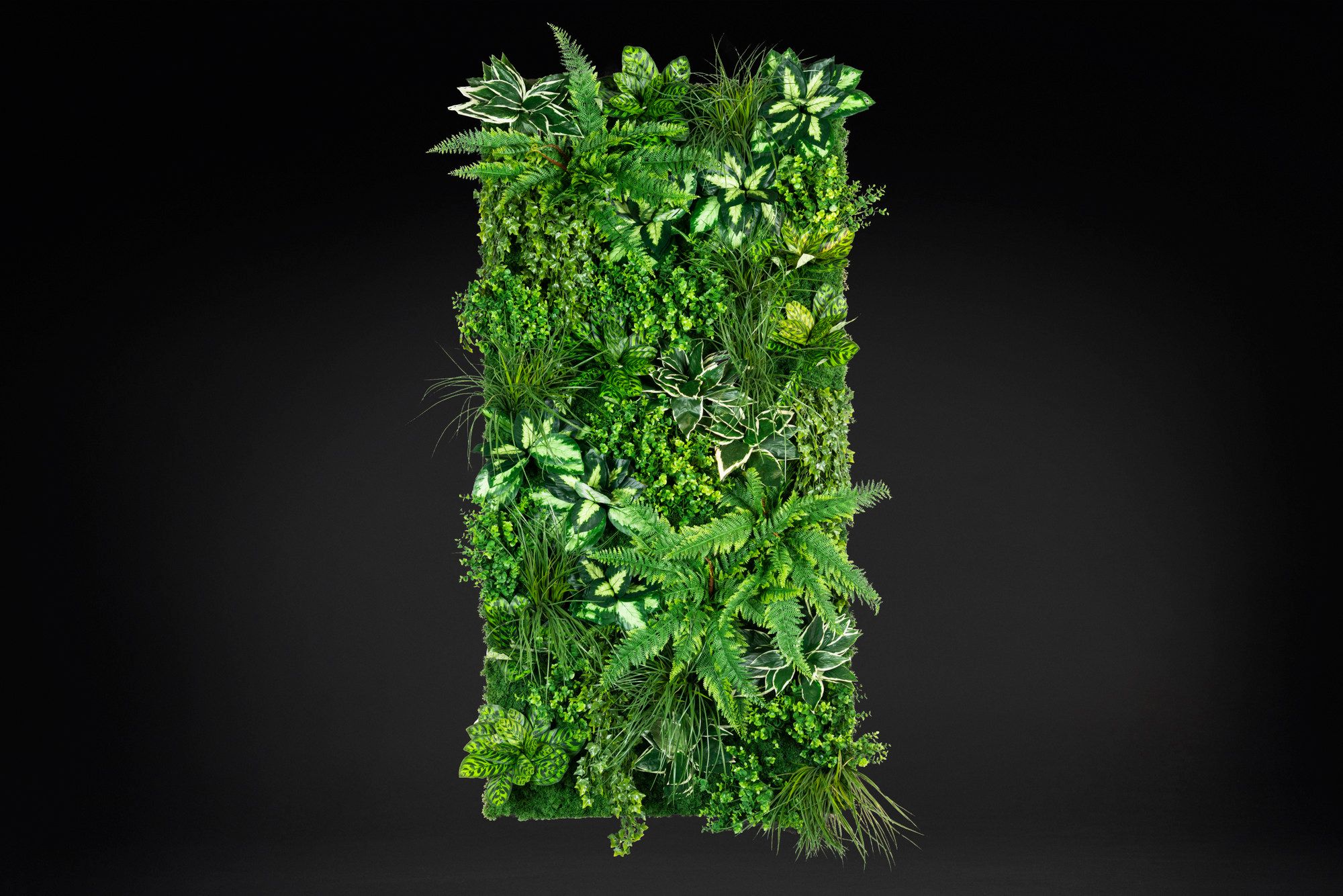 MOLOKAI by VGnewtrend - Quadro vegetale - 2