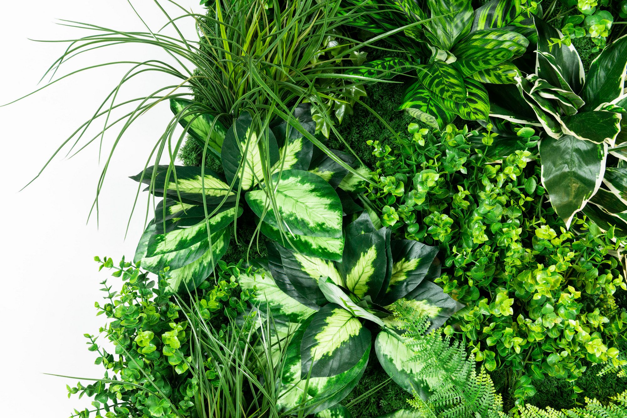 MOLOKAI by VGnewtrend - Quadro vegetale - 8