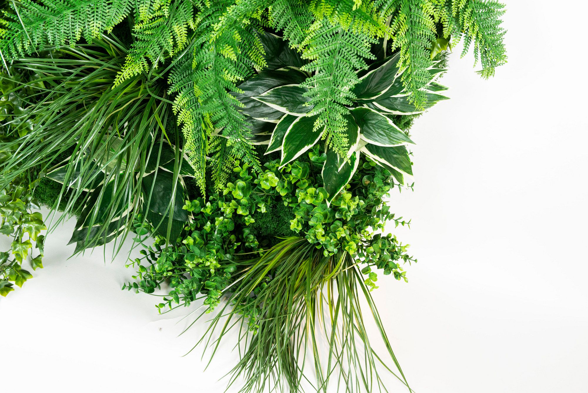 MOLOKAI by VGnewtrend - Quadro vegetale - 9