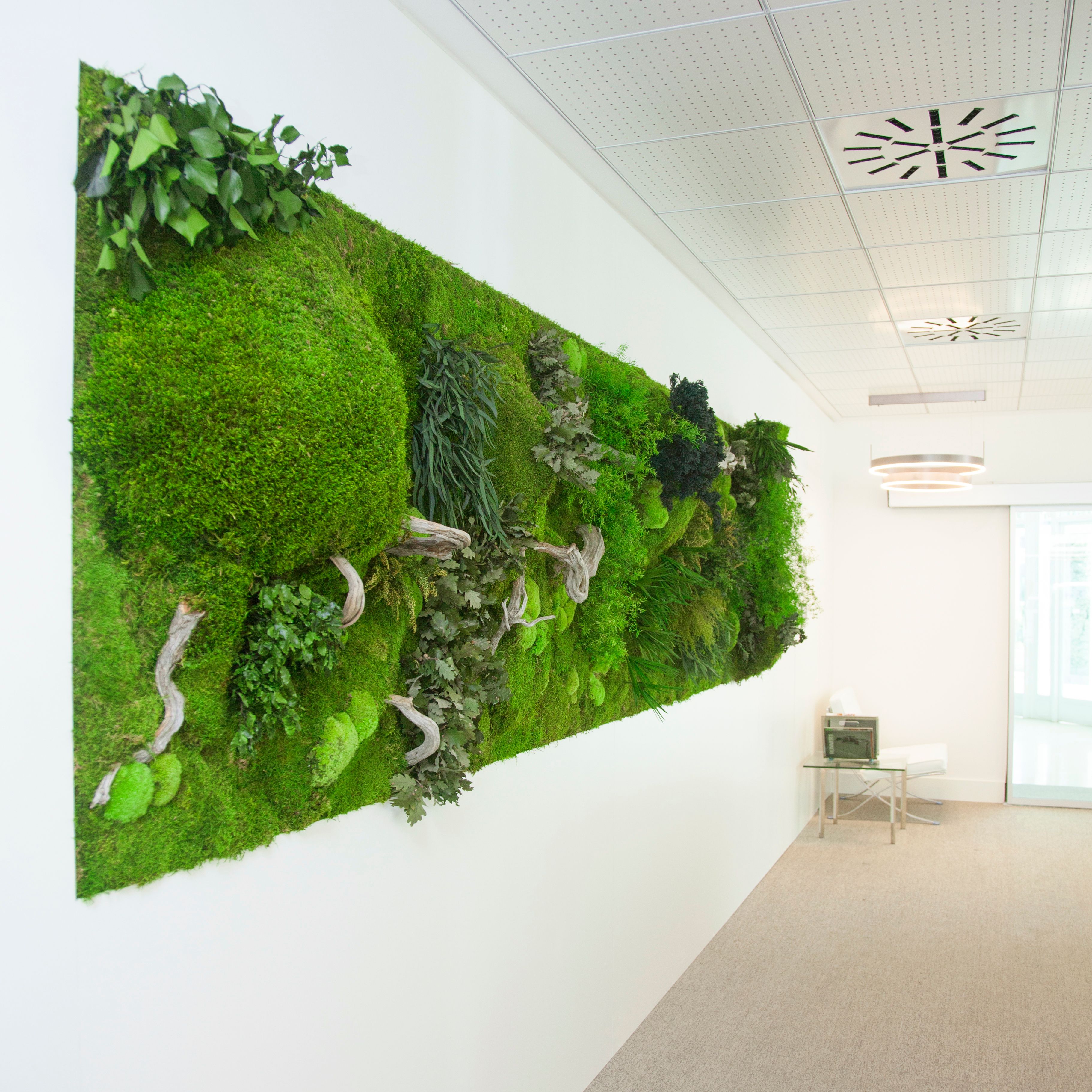 Stabilized plants and moss indoor vertical garden MOSS&PLANTS MID By