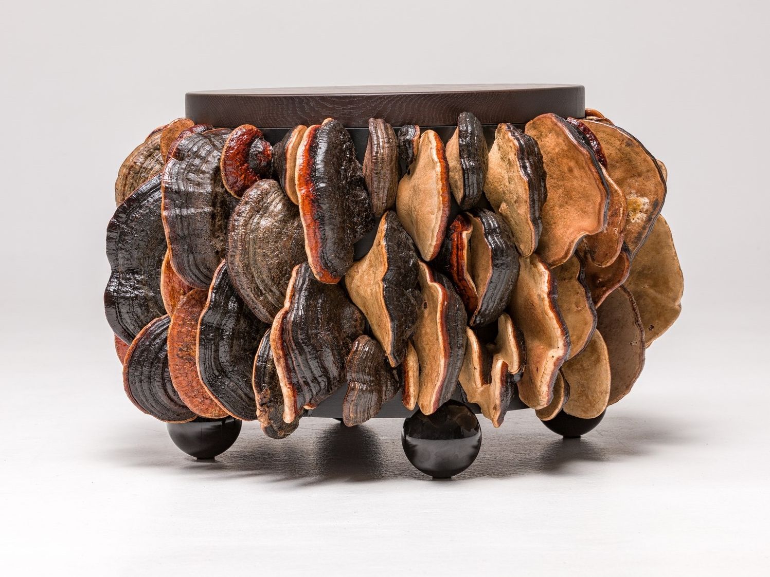 MUSHROOMS Round coffee table By Panoptikum Collections design Andrii
