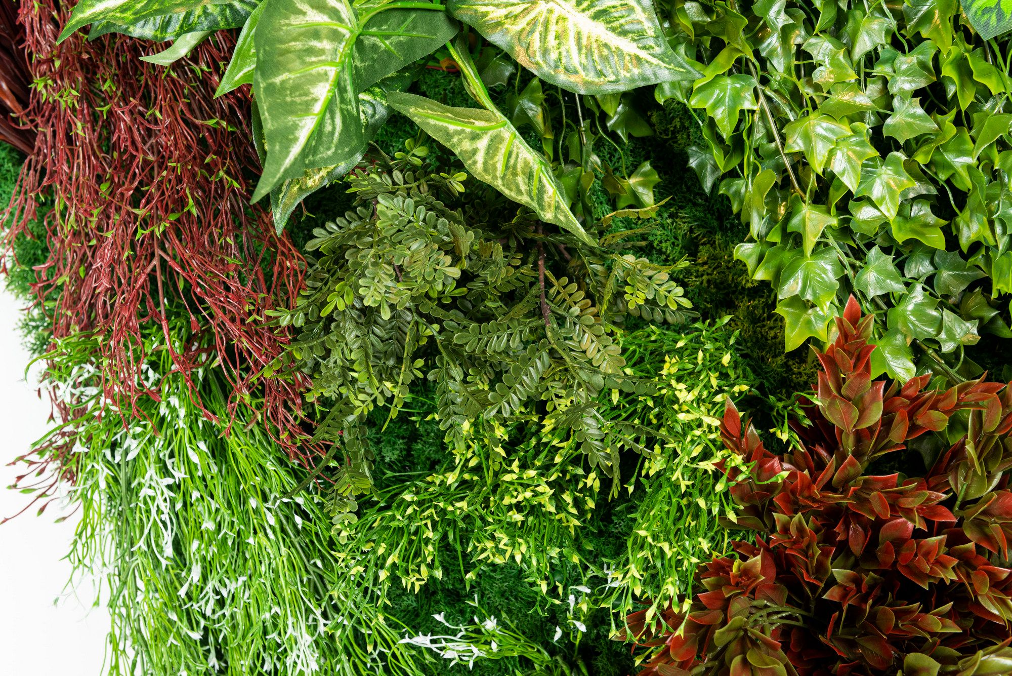 RATA by VGnewtrend - Quadro vegetale - 10