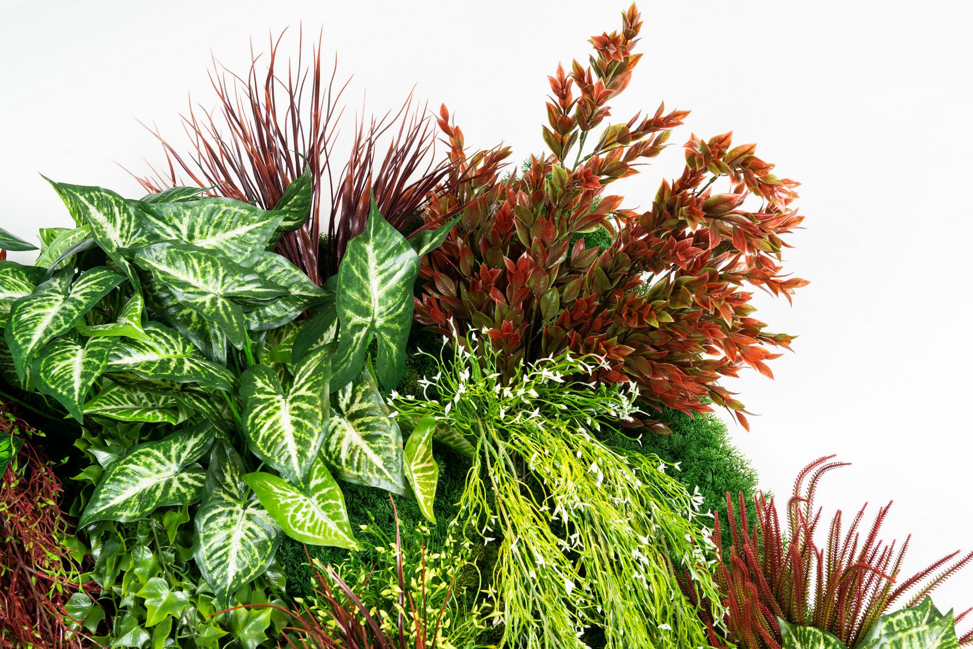 RATA by VGnewtrend - Quadro vegetale - 7