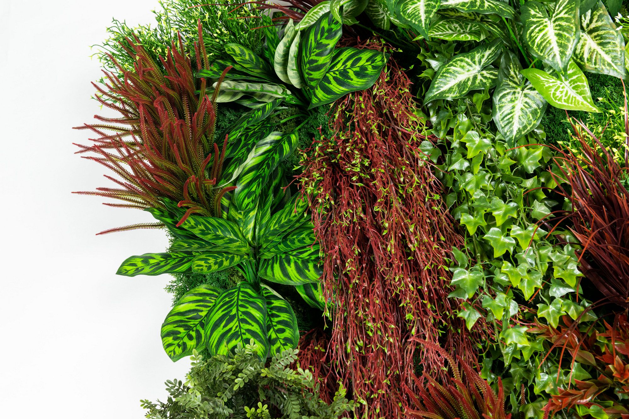 RATA by VGnewtrend - Quadro vegetale - 6