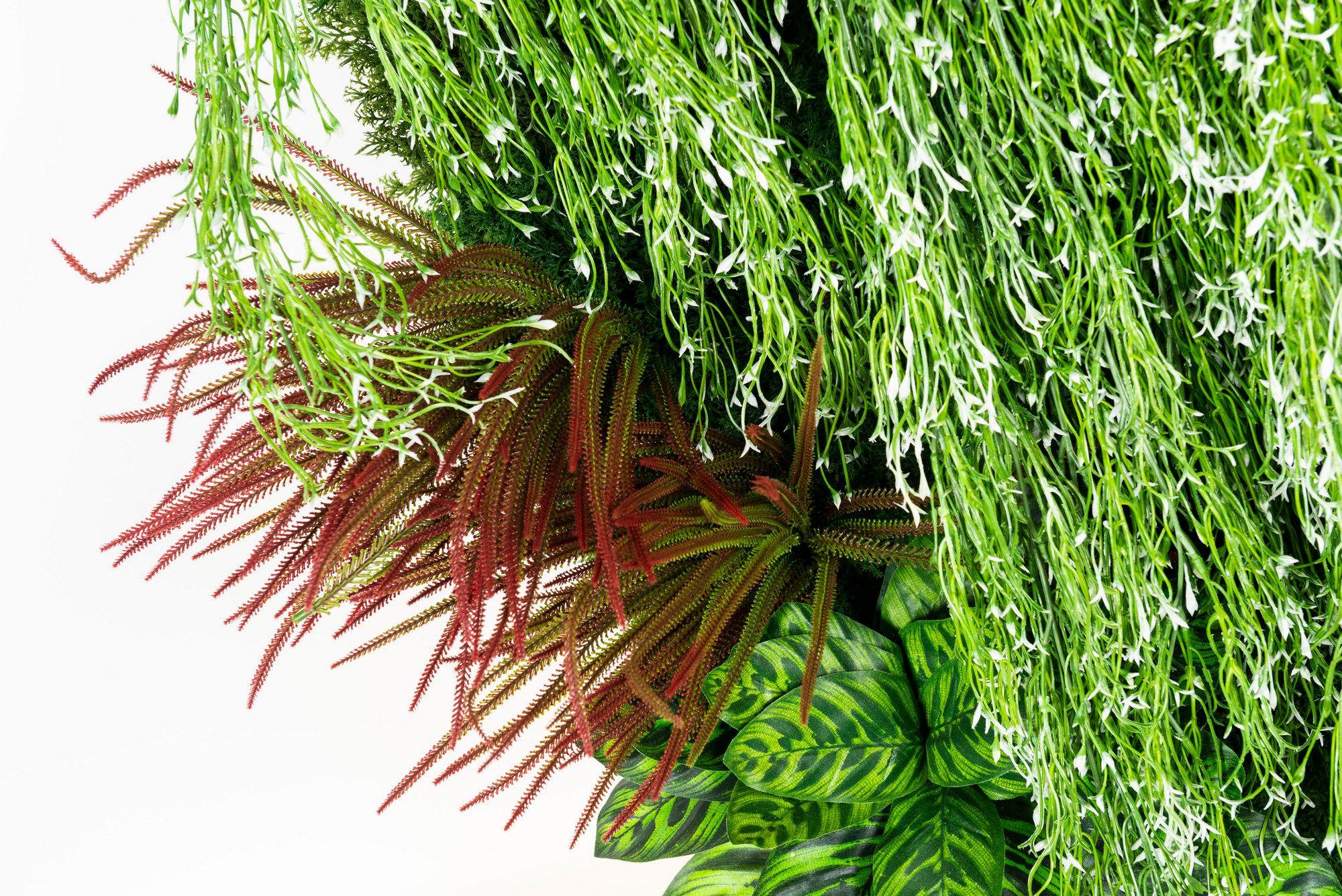 RATA by VGnewtrend - Quadro vegetale - 3