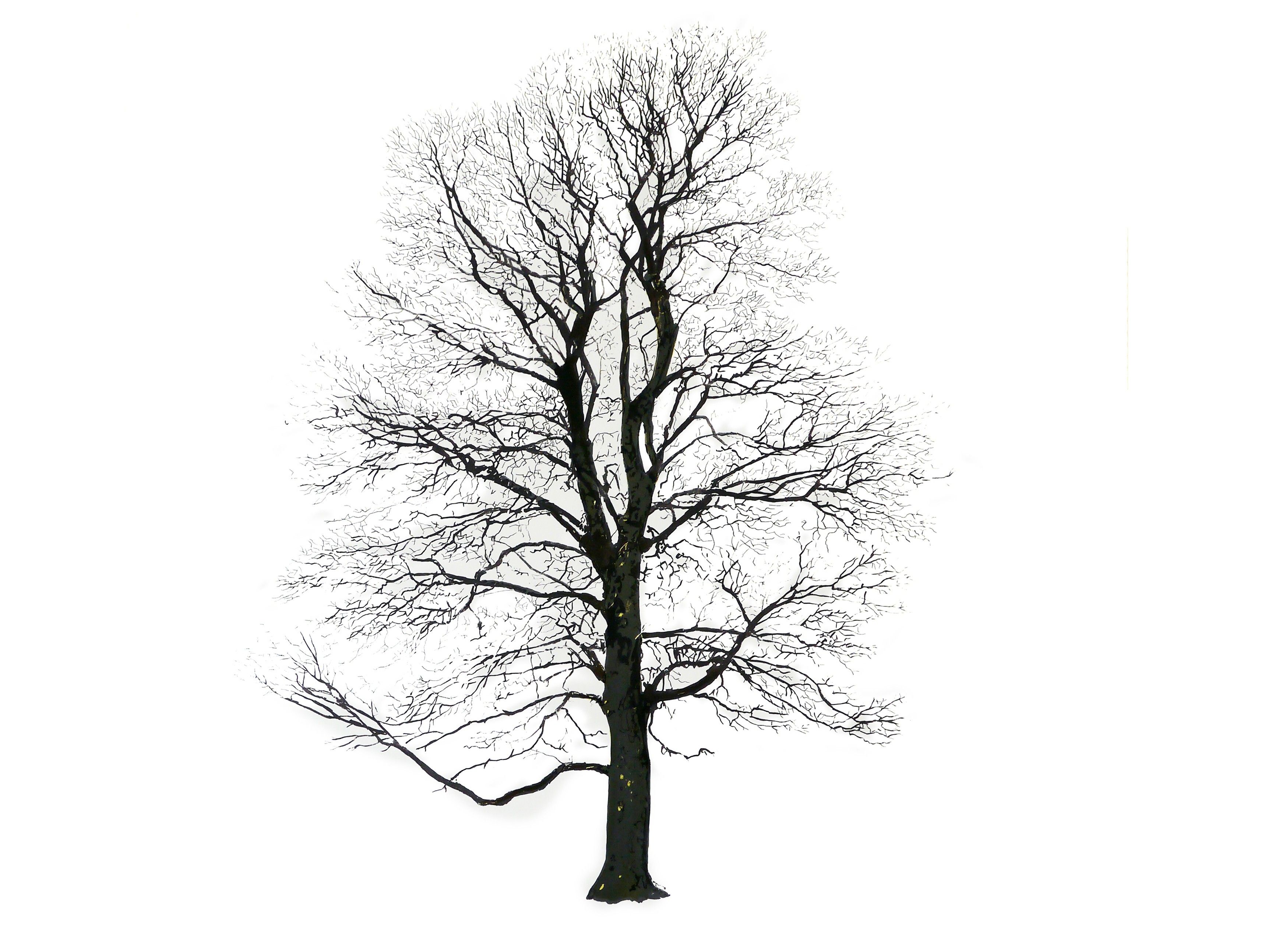 TREE WINTER by Magis - Quadro