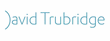 David Trubridge Ltd 
