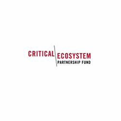 Critical Ecosystem Partnership Fund