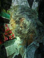 mirco francesco caldiroli