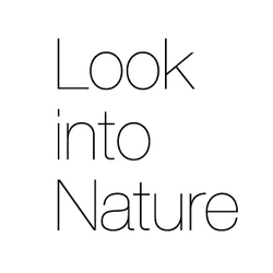 Look into Nature