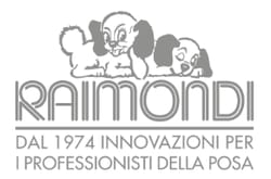 Raimondi (logo)