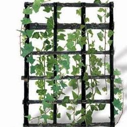 Christophe De Saeger