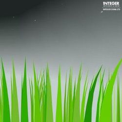INTEGER - Intelligent & Green