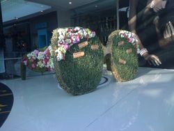 ihsane elwaly sosdeco