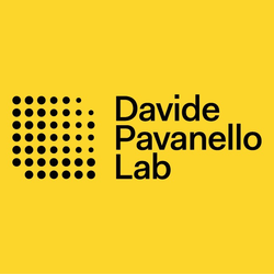 Davide Pavanello Lab