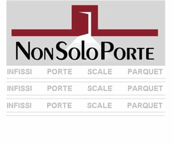 Non Solo Porte S.r.l. Unipersonale's Logo